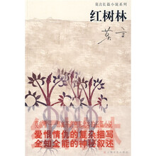 红树林