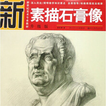 新世纪美术专业教材：素描石膏像（升级版）