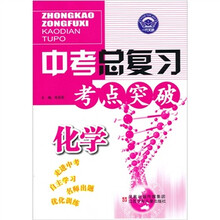 中考总复习考点突破：化学