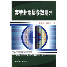 套管井地层参数测井