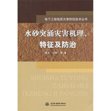 水砂突涌灾害机理、特征及防治