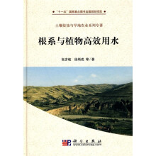 根系与植物高效用水