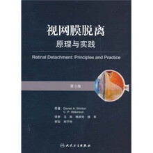 视网膜脱离原理与实践（第3版）