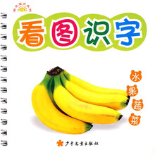 阳光宝贝系列:看图识字(全10册)