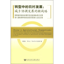 转型中的农村发展：城乡协调发展的新战略