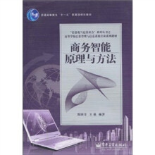商务智能原理与方法