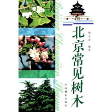 北京常见树木