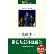 成长文库·世界少年文学精选:钢铁是怎样炼成的(美绘本·青少版)
