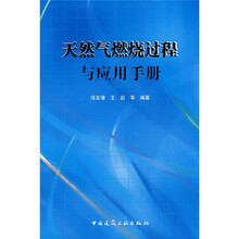 天然气燃烧过程与应用手册