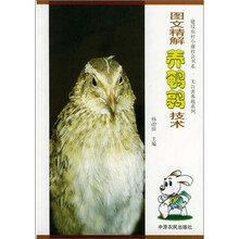 图文精解养鹌鹑技术