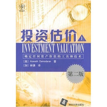 投资估价（上）：确定任何资产价值的工具和技术（第2版）