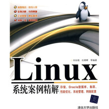 Linux系统案例精解:存储、Oracle数据库、集群、性能优化、系统管理、网络配置
