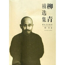 柳青精选集