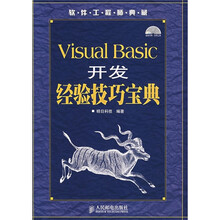 Visual Basic开发经验技巧宝典(附光盘)