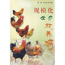 规模化生态放养鸡