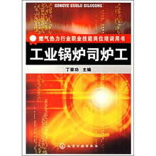 燃气热力行业职业技能岗位培训用书：工业锅炉司炉工