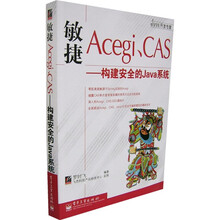 JAVA开发专家:敏捷Acegi、CAS:构建安全的Java系统