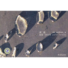 反_应彼德·荣伦思