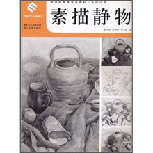 新世纪美术专业教材系统训练:素描静物