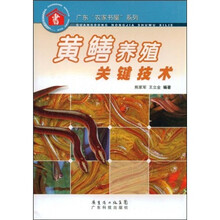 黄鳝养殖关键技术