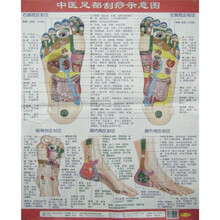中医足部刮痧示意图