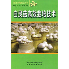 白灵菇高效栽培技术