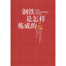 钢铁是怎样炼成的（全译本）