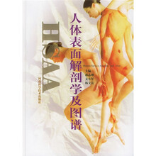 人体表面解剖学及图谱