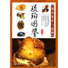 琥珀图鉴：琥珀鉴赏与选购