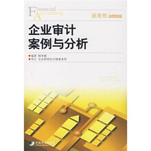 企业审计案例与分析