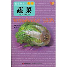 教学知本·色彩:蔬菜