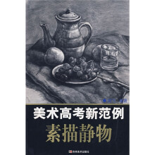 美术高考新范例:素描静物