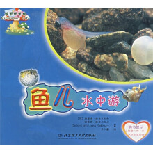 鱼儿水中游