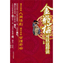 金瓶梅可以这样读