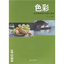 美术高考解析与应试策略：色彩