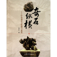 奇石纵横：中外观赏石收藏与鉴赏