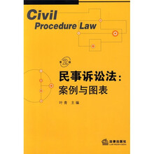 民事诉讼法：案例与图表（第2版）