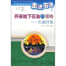 开采地下石油的谋略:石油开发