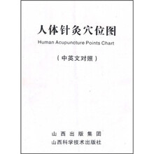 人体针灸穴位挂图（中英文对照）