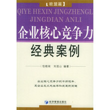 企业核心竞争力经典案例：欧盟篇