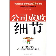 公司成败细节
