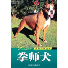 世界名犬:拳师犬