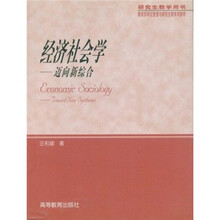 经济社会学：迈向新综合