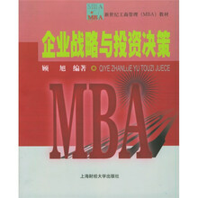 企业战略与投资决策