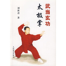 武当玄功太极掌