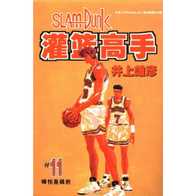 灌篮高手11
