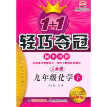 1+1轻巧夺冠同步讲解:9年级化学(下)(人教版)(金版·创新版)