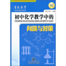 有效教学：初中化学教学中的问题与对策（新课程初中版）