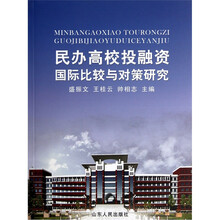 民办高校投融资国际比较与对策研究