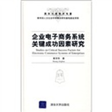 企业电子商务系统关键成功因素研究
